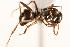  ( - CHU06-ANT-031)  @14 [ ] Unspecified (default): All Rights Reserved  Unspecified Unspecified