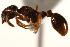  ( - CHU06-ANT-073)  @14 [ ] Unspecified (default): All Rights Reserved  Unspecified Unspecified