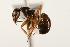  ( - CHU06-ANT-193)  @14 [ ] Unspecified (default): All Rights Reserved  Unspecified Unspecified