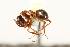  ( - CHU06-ANT-278)  @14 [ ] Unspecified (default): All Rights Reserved  Unspecified Unspecified