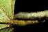  ( - 06-SRNP-2250)  @12 [ ] CreativeCommons - Attribution Non-Commercial Share-Alike (2013) Daniel H. Janzen Guanacaste Dry Forest Conservation Fund