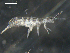  ( - CHU06-COL-1193)  @13 [ ] CreativeCommons - Attribution Non-Commercial (2010) David Porco Unspecified