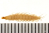  ( - CHU06-COL-300)  @12 [ ] CreativeCommons - Attribution (2008) Unspecified Centre for Biodiversity Genomics