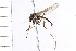  ( - 06-PROBE-0007)  @13 [ ] CreativeCommons - Attribution (2009) Unspecified Centre for Biodiversity Genomics