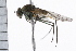  ( - 06-PROBE-0078)  @12 [ ] CreativeCommons - Attribution (2009) Unspecified Centre for Biodiversity Genomics
