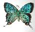  ( - 05-SRNP-19016)  @14 [ ] Unspecified (default): All Rights Reserved  Unspecified Unspecified