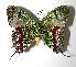  ( - 05-SRNP-19016)  @14 [ ] Unspecified (default): All Rights Reserved  Unspecified Unspecified