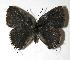  ( - 06-SRNP-32088)  @14 [ ] Unspecified (default): All Rights Reserved  Unspecified Unspecified