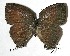  ( - 07-SRNP-42729)  @14 [ ] Unspecified (default): All Rights Reserved  Unspecified Unspecified