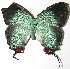  ( - 07-SRNP-22999)  @13 [ ] Unspecified (default): All Rights Reserved  Unspecified Unspecified