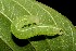  ( - 07-SRNP-59019)  @12 [ ] CreativeCommons - Attribution Non-Commercial Share-Alike (2013) Daniel H. Janzen Guanacaste Dry Forest Conservation Fund