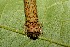  ( - 07-SRNP-65891)  @12 [ ] CreativeCommons - Attribution Non-Commercial Share-Alike (2013) Daniel H. Janzen Guanacaste Dry Forest Conservation Fund