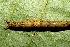  ( - 07-SRNP-65891)  @12 [ ] CreativeCommons - Attribution Non-Commercial Share-Alike (2013) Daniel H. Janzen Guanacaste Dry Forest Conservation Fund