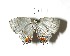  ( - 08-SRNP-70878)  @13 [ ] Unspecified (default): All Rights Reserved  Unspecified Unspecified