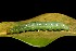  ( - 09-SRNP-44038)  @12 [ ] CreativeCommons - Attribution Non-Commercial Share-Alike (2013) Daniel H. Janzen Guanacaste Dry Forest Conservation Fund