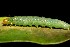  ( - 09-SRNP-44038)  @12 [ ] CreativeCommons - Attribution Non-Commercial Share-Alike (2013) Daniel H. Janzen Guanacaste Dry Forest Conservation Fund