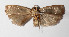  ( - 12-SRNP-5449)  @14 [ ] CreativeCommons  Attribution Non-Commercial Share-Alike (2016) Unspecified Guanacaste Dry Forest Conservation Fund