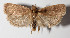  ( - 12-SRNP-55066)  @14 [ ] CreativeCommons  Attribution Non-Commercial Share-Alike (2016) Unspecified Guanacaste Dry Forest Conservation Fund