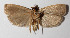  ( - 12-SRNP-55066)  @14 [ ] CreativeCommons  Attribution Non-Commercial Share-Alike (2016) Unspecified Guanacaste Dry Forest Conservation Fund