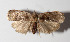  ( - 12-SRNP-55678)  @14 [ ] CreativeCommons  Attribution Non-Commercial Share-Alike (2016) Unspecified Guanacaste Dry Forest Conservation Fund