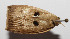 ( - 12-SRNP-5702)  @11 [ ] CreativeCommons  Attribution Non-Commercial Share-Alike (2016) Unspecified Guanacaste Dry Forest Conservation Fund