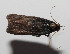  ( - 12-SRNP-65883)  @12 [ ] CreativeCommons  Attribution Non-Commercial Share-Alike (2016) Unspecified Guanacaste Dry Forest Conservation Fund