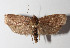  ( - 13-SRNP-30563)  @13 [ ] CreativeCommons  Attribution Non-Commercial Share-Alike (2016) Unspecified Guanacaste Dry Forest Conservation Fund