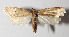  ( - 13-SRNP-41901)  @14 [ ] CreativeCommons  Attribution Non-Commercial Share-Alike (2016) Unspecified Guanacaste Dry Forest Conservation Fund