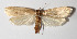  ( - 13-SRNP-41901)  @14 [ ] CreativeCommons  Attribution Non-Commercial Share-Alike (2016) Unspecified Guanacaste Dry Forest Conservation Fund