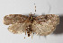  ( - 13-SRNP-56510)  @14 [ ] CreativeCommons  Attribution Non-Commercial Share-Alike (2016) Unspecified Guanacaste Dry Forest Conservation Fund