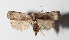  ( - 13-SRNP-56511)  @14 [ ] CreativeCommons  Attribution Non-Commercial Share-Alike (2016) Unspecified Guanacaste Dry Forest Conservation Fund