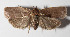  ( - 13-SRNP-57680)  @14 [ ] CreativeCommons  Attribution Non-Commercial Share-Alike (2016) Unspecified Guanacaste Dry Forest Conservation Fund