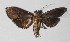  ( - 13-SRNP-79949)  @13 [ ] CreativeCommons  Attribution Non-Commercial Share-Alike (2016) Unspecified Guanacaste Dry Forest Conservation Fund