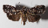  ( - 14-SRNP-20401)  @14 [ ] CreativeCommons  Attribution Non-Commercial Share-Alike (2016) Unspecified Guanacaste Dry Forest Conservation Fund