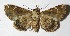  ( - 14-SRNP-20497)  @14 [ ] CreativeCommons  Attribution Non-Commercial Share-Alike (2016) Unspecified Guanacaste Dry Forest Conservation Fund