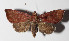  ( - 14-SRNP-21177)  @12 [ ] CreativeCommons  Attribution Non-Commercial Share-Alike (2016) Unspecified Guanacaste Dry Forest Conservation Fund