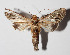  ( - 14-SRNP-21208)  @14 [ ] CreativeCommons  Attribution Non-Commercial Share-Alike (2016) Unspecified Guanacaste Dry Forest Conservation Fund