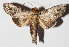  ( - 14-SRNP-21213)  @14 [ ] CreativeCommons  Attribution Non-Commercial Share-Alike (2016) Unspecified Guanacaste Dry Forest Conservation Fund
