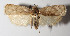  ( - 14-SRNP-2210)  @14 [ ] CreativeCommons  Attribution Non-Commercial Share-Alike (2016) Unspecified Guanacaste Dry Forest Conservation Fund