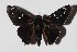  ( - 14-SRNP-2944)  @13 [ ] CreativeCommons  Attribution Non-Commercial Share-Alike (2016) Unspecified Guanacaste Dry Forest Conservation Fund