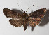  ( - 14-SRNP-3023)  @14 [ ] CreativeCommons  Attribution Non-Commercial Share-Alike (2016) Unspecified Guanacaste Dry Forest Conservation Fund