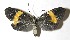  ( - 14-SRNP-30282)  @14 [ ] CreativeCommons  Attribution Non-Commercial Share-Alike (2016) Unspecified Guanacaste Dry Forest Conservation Fund