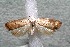  ( - 14-SRNP-30364)  @13 [ ] CreativeCommons  Attribution Non-Commercial Share-Alike (2017) Daniel H. Janzen Guanacaste Dry Forest Conservation Fund