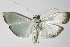  ( - 14-SRNP-3071)  @14 [ ] CreativeCommons  Attribution Non-Commercial Share-Alike (2016) Unspecified Guanacaste Dry Forest Conservation Fund
