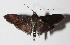  ( - 14-SRNP-3079)  @14 [ ] CreativeCommons  Attribution Non-Commercial Share-Alike (2016) Unspecified Guanacaste Dry Forest Conservation Fund