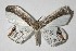  ( - 14-SRNP-30819)  @13 [ ] CreativeCommons  Attribution Non-Commercial Share-Alike (2016) Unspecified Guanacaste Dry Forest Conservation Fund