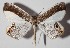 ( - 14-SRNP-30823)  @13 [ ] CreativeCommons  Attribution Non-Commercial Share-Alike (2016) Unspecified Guanacaste Dry Forest Conservation Fund