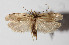  ( - 14-SRNP-30872)  @11 [ ] CreativeCommons  Attribution Non-Commercial Share-Alike (2016) Unspecified Guanacaste Dry Forest Conservation Fund