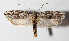  ( - 14-SRNP-31072)  @14 [ ] CreativeCommons  Attribution Non-Commercial Share-Alike (2016) Unspecified Guanacaste Dry Forest Conservation Fund