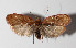  ( - 14-SRNP-31158)  @13 [ ] CreativeCommons  Attribution Non-Commercial Share-Alike (2016) Unspecified Guanacaste Dry Forest Conservation Fund